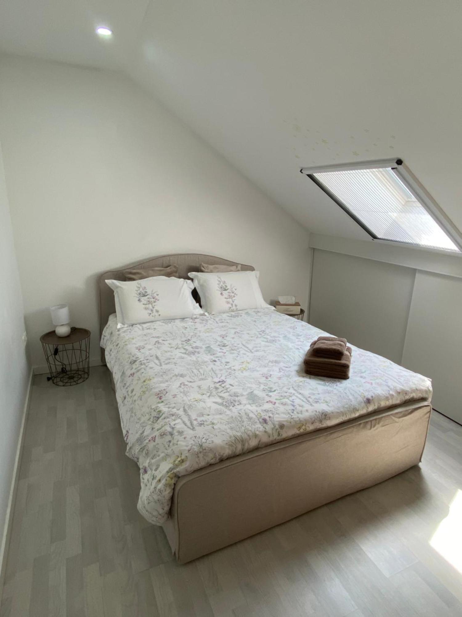 Next2Airport - Appartement House Of Lions Ransart المظهر الخارجي الصورة